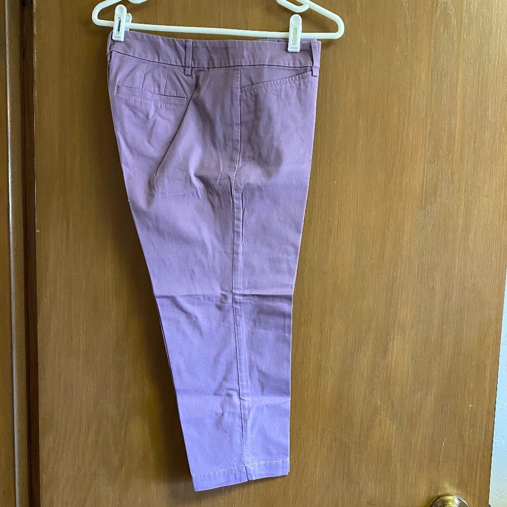 LOFT Light Purple Cropped Pants